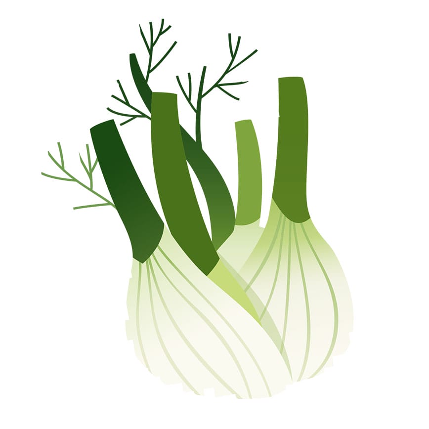 food&life Fenchel