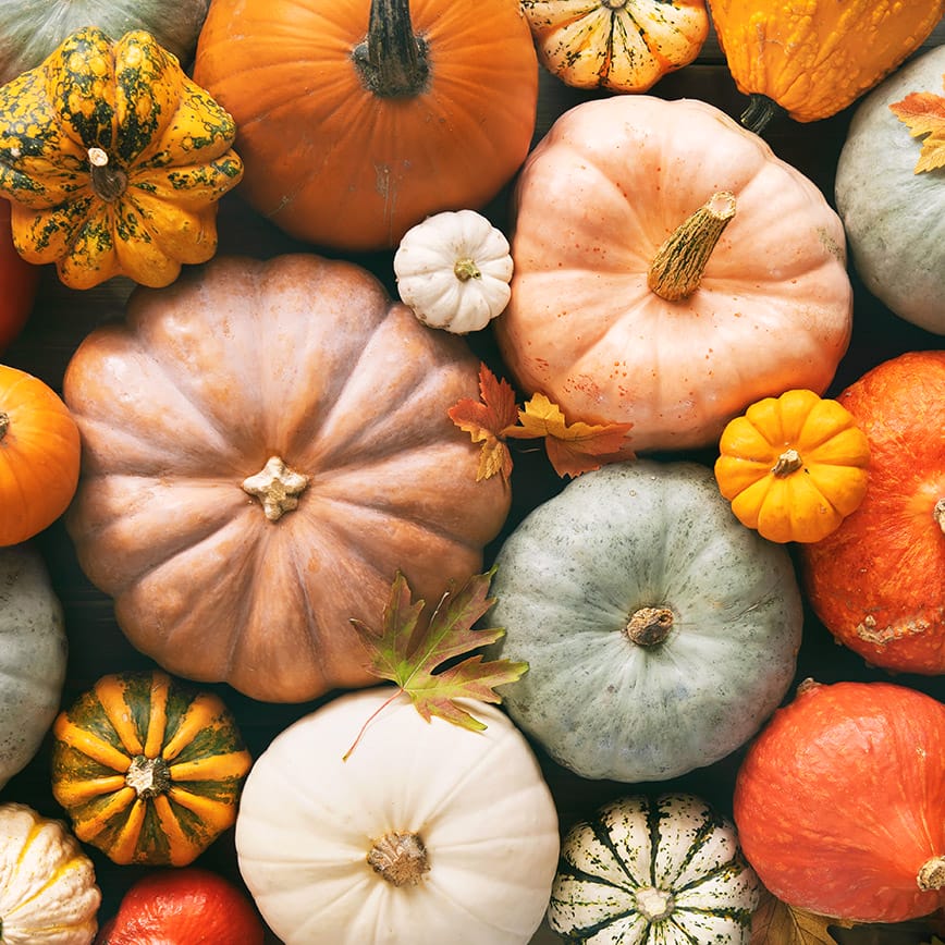 food&life Highlights